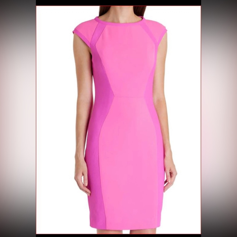 Ted Baker Sheath Dress Back Zipper Below Knee Length TB Size 1 (US 2) Neon Pink